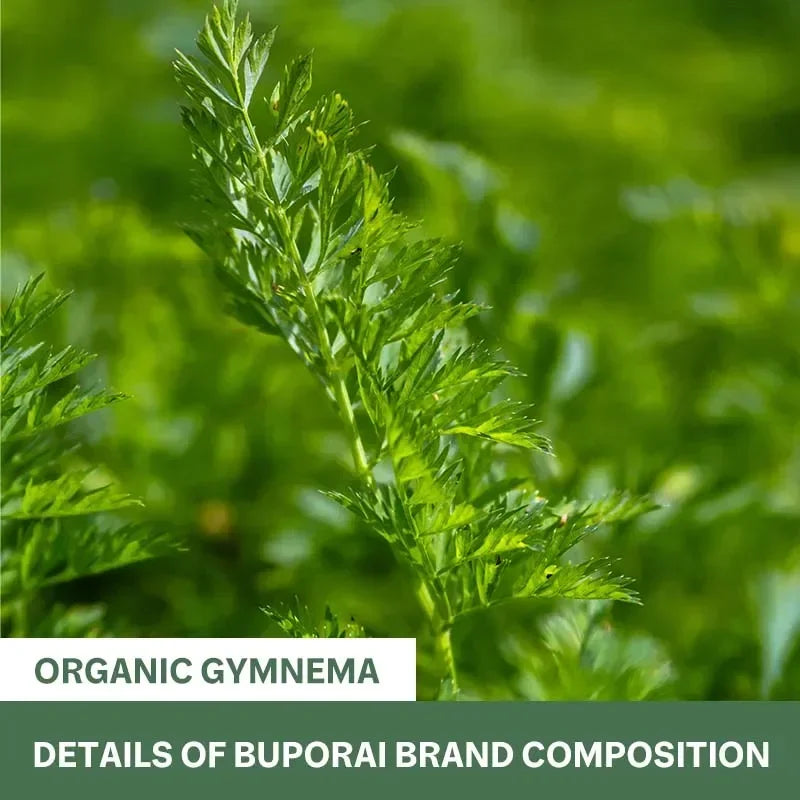 Organic Gymnema - Supports Balanced Glucose Metabolism and Energy Health, Enhances Absorption, and Provides Nutritional Support