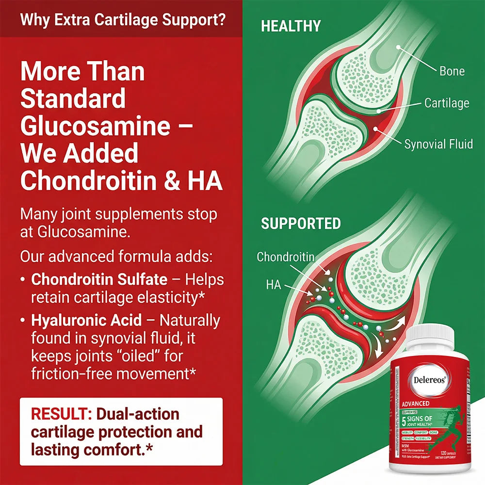 Glucosamine Chondroitin MSM Capsules, Hips Knees Joint Support, Antioxidant Immune, Flexibility & Mobility Supplement for Adults