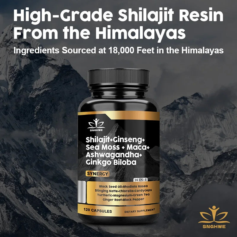 Shilajit Supplements Ginseng & Sea Moss & Ashwagandha & Ginkgo Biloba, Adaptive Energy Endurance Immune Antioxidants Gut Health